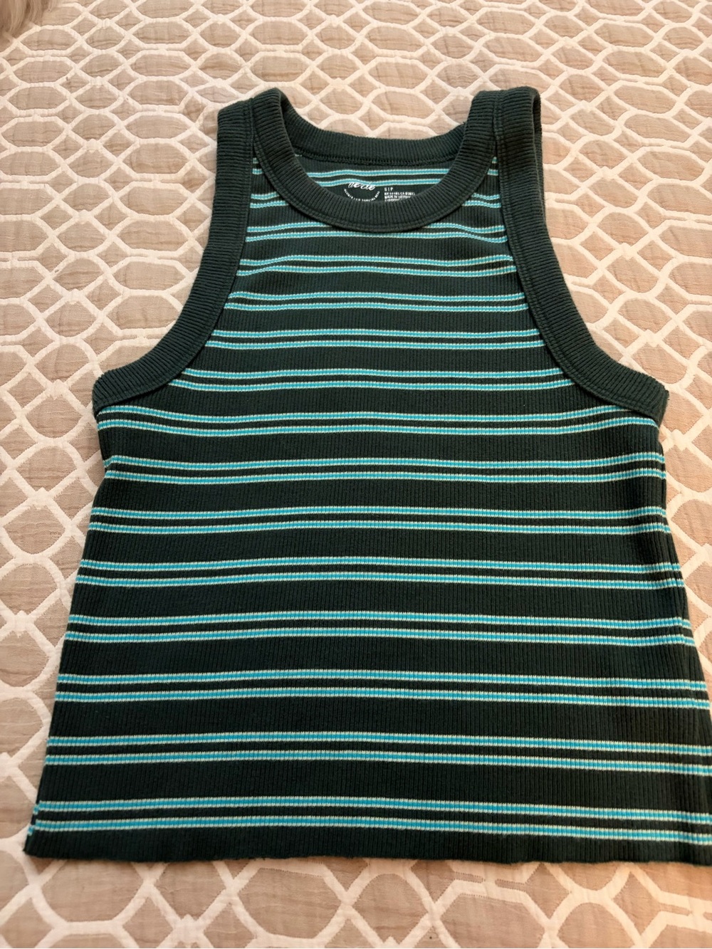 Aerie Striped Tank Top - Green with Teal Stripes